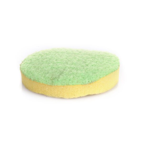 Scrub Sponge
